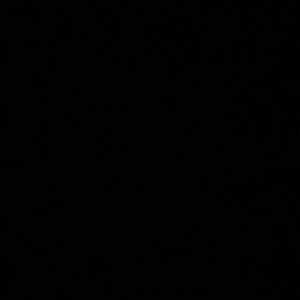 Meet your Posher, Logan